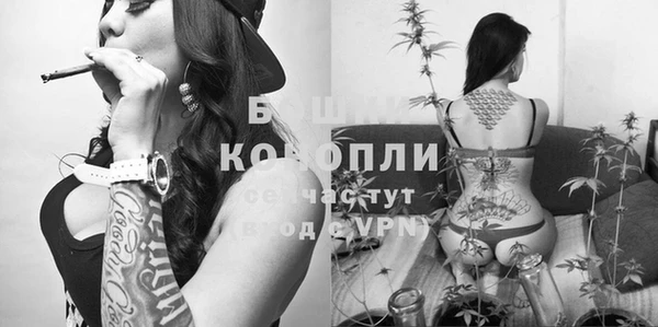 винт Алексин