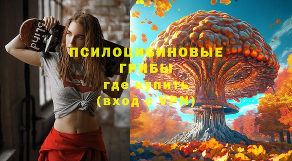 спайс Абаза